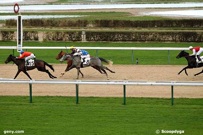 14/12/2012 - Deauville - Prix de la Ferrière-au-Doyen : Arrivée