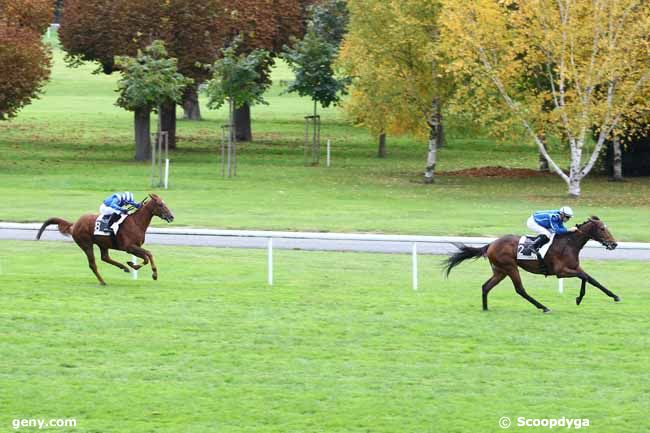 12/10/2013 - Maisons-Laffitte - Prix de Bezons : Arrivée