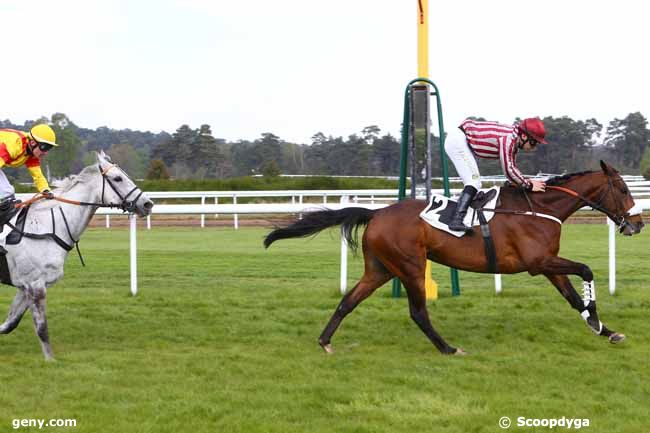 19/04/2017 - Fontainebleau - Prix Michel Bouchet : Arrivée