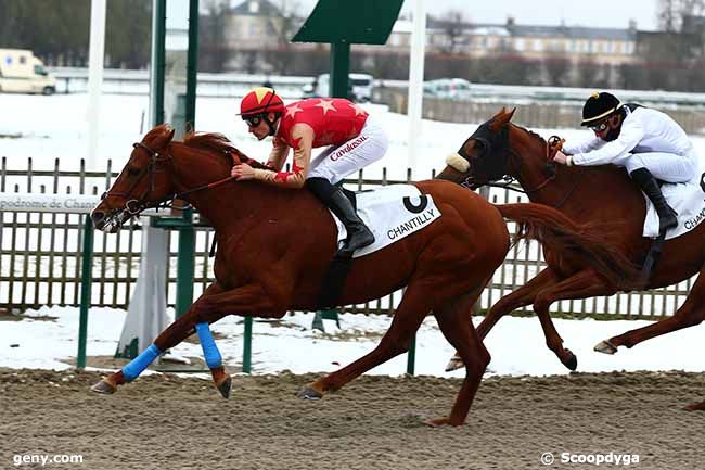 31/01/2019 - Chantilly - Prix du Carrefour Jamin : Arrivée