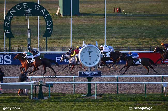 08/03/2022 - Chantilly - Prix Janus : Arrivée