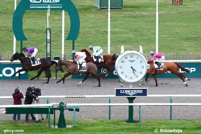 16/02/2024 - Chantilly - Prix de Belloy-en-France : Arrivée