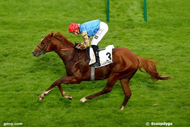 12/10/2024 - Chantilly - Prix le Fabuleux : Arrivée