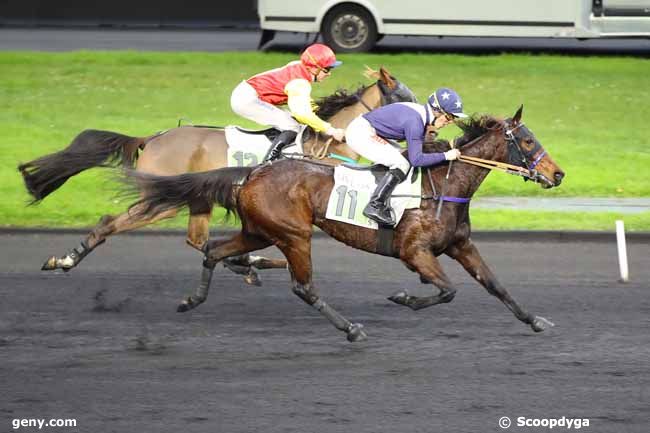 11/12/2024 - Vincennes - Prix de Langeac : Ankunft