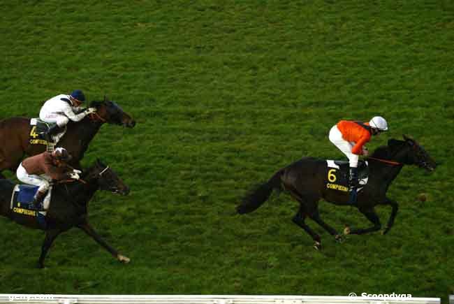 28/10/2008 - Compiègne - Prix de Vez : Ankunft