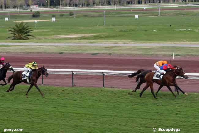 25/11/2010 - Marseille-Borély - Prix de Montmajour : Arrivée