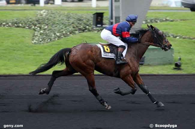 02/01/2011 - Vincennes - Prix de Beaumont-de-Lomagne : Arrivée