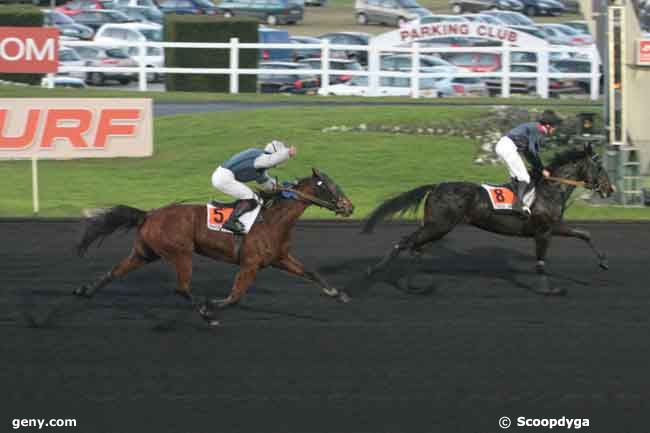 16/01/2011 - Vincennes - Prix Djerid : Arrivée