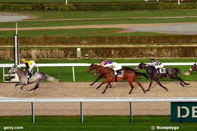 17/12/2011 - Deauville - Prix de Fontaine : Ankunft