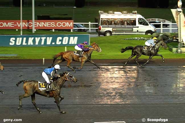 05/11/2012 - Vincennes - Prix d'Hiesville : Arrivée