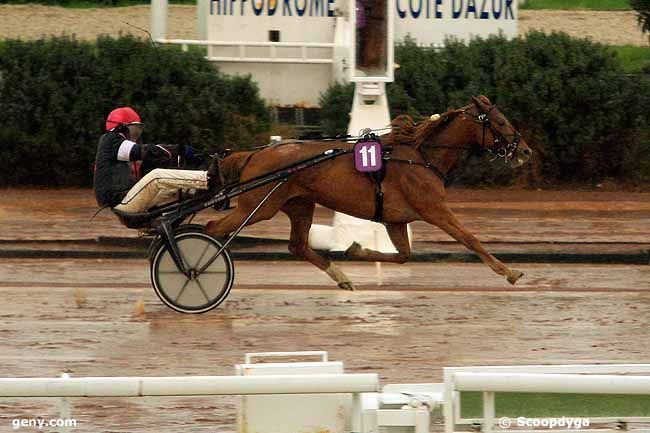 12/02/2016 - Cagnes-sur-Mer - Prix des Gorges du Verdon : Arrivée