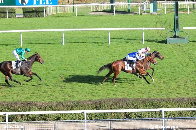 18/11/2016 - Saint-Cloud - Prix Indus : Arrivée