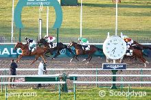 15/09/2025 - Chantilly - Prix du Canal Saint-Jean: Ankunft