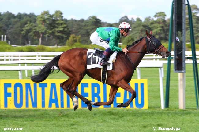 07/09/2019 - Fontainebleau - Grand Prix de Fontainebleau - Fonds Européen de l'Elevage : Ankunft