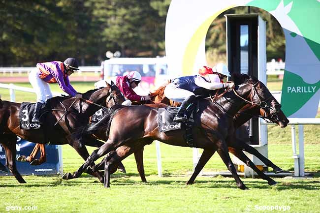 08/10/2019 - Lyon-Parilly - Grand Prix des Provinces-Prix André Baboin : Ankunft