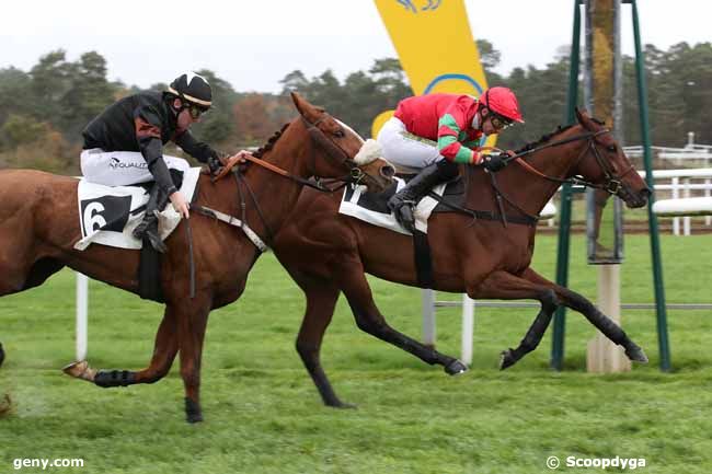 21/11/2022 - Fontainebleau - Prix Princesse d'Anjou : Result