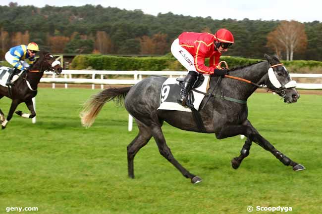 15/11/2023 - Fontainebleau - Prix de la Route Amélie : Result