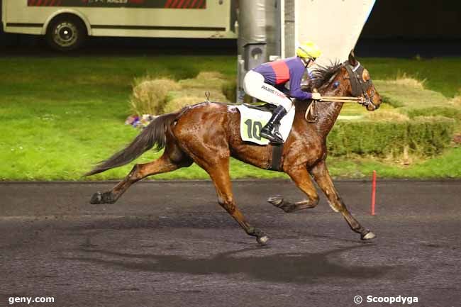 11/02/2024 - Vincennes - Prix de Bouguenais : Arrivée