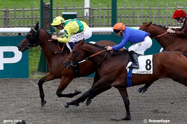 12/10/2024 - Chantilly - Prix de la Croix de l'Oignon : Arrivée