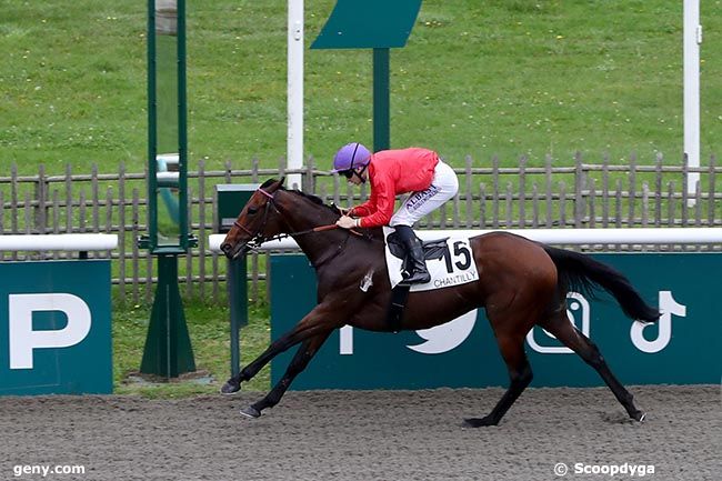 17/10/2024 - Chantilly - Prix de l'Allée Brulette : Arrivée