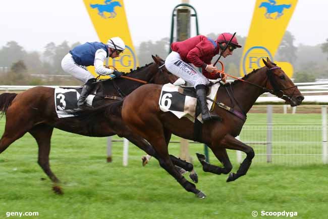 28/10/2024 - Fontainebleau - Prix des Gorges d'Apremont : Arrivée