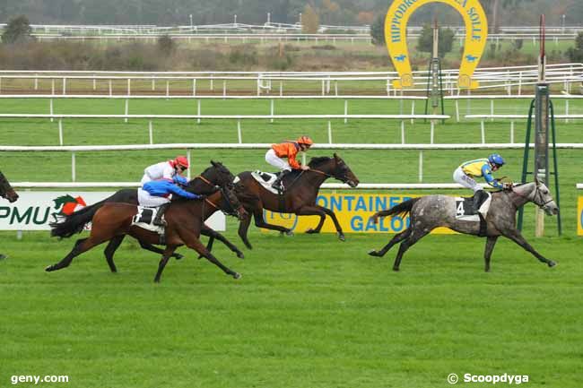 04/11/2024 - Fontainebleau - Prix des Pins Noirs : Arrivée