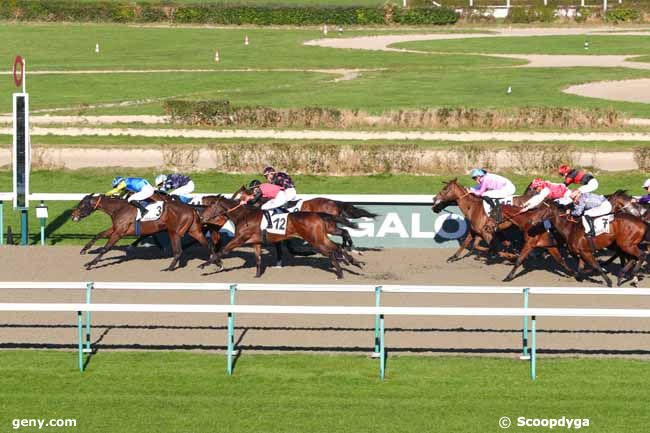 01/02/2025 - Deauville - Prix du Tréport : Arrivée