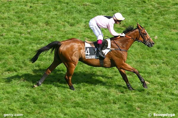 30/05/2008 - Auteuil - Prix le Bouif : Arrivée