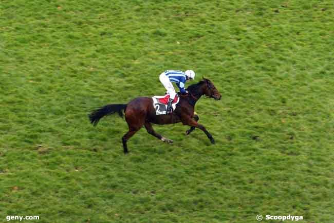 16/11/2008 - Auteuil - Prix de la Croix Dauphiné : Arrivée