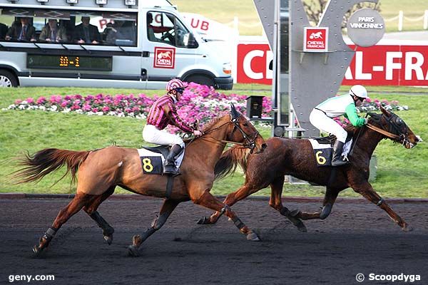 04/02/2010 - Vincennes - Prix de Calais : Arrivée