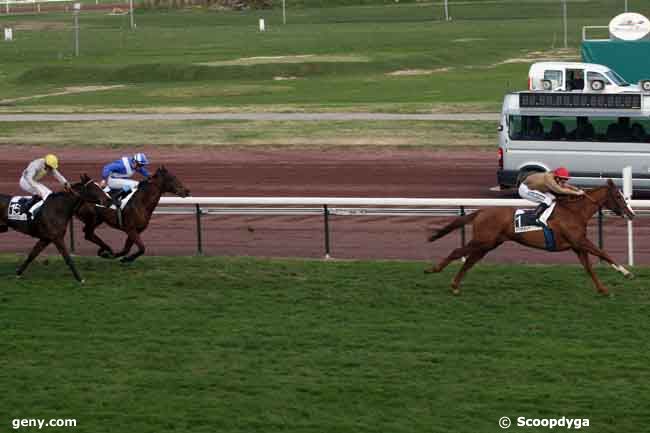 25/11/2010 - Marseille-Borély - Prix du Pontet : Arrivée