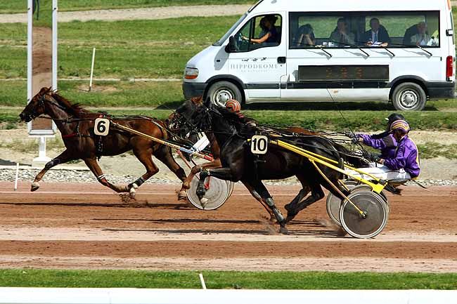 10/05/2011 - Toulouse - Prix de la Mairie de Toulouse : Result