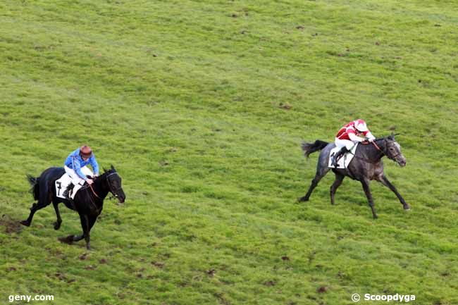 25/10/2012 - Auteuil - Prix Falzarego : Arrivée