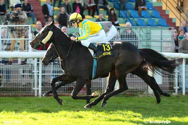 27/10/2014 - Compiègne - Prix de la Michelette : Arrivée