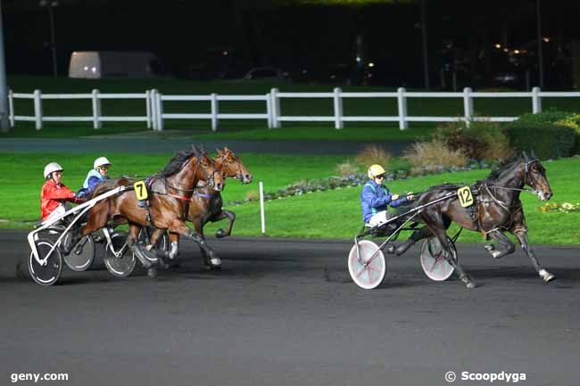 28/11/2014 - Vincennes - Prix Ourasi : Ankunft