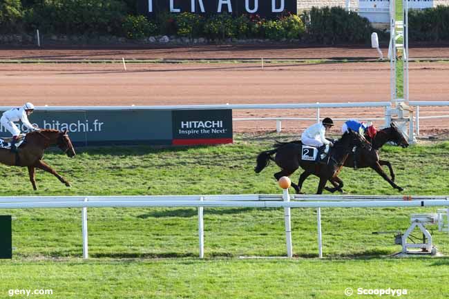 31/12/2014 - Cagnes-sur-Mer - Prix de la Vendée : Arrivée