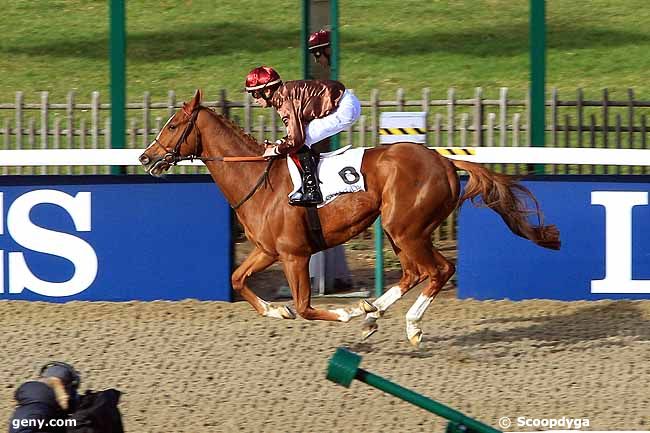 09/02/2016 - Chantilly - Prix de la Route de Condé : Arrivée