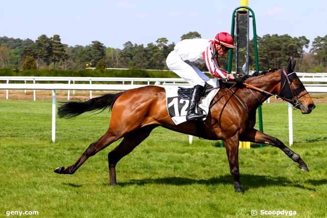 19/04/2017 - Fontainebleau - Prix Perplexe : Arrivée