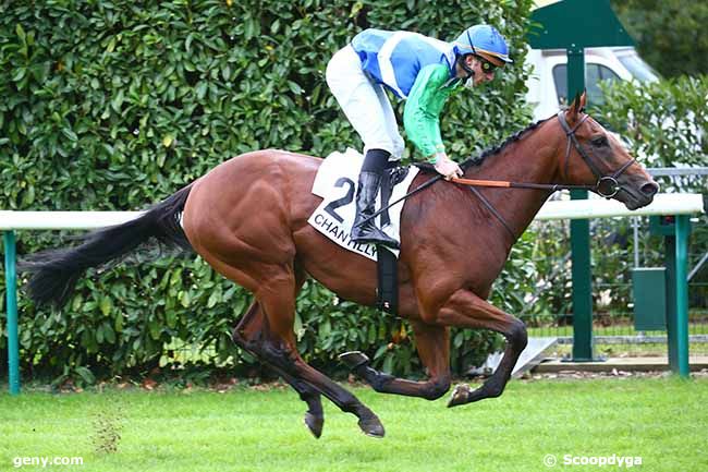 06/10/2020 - Chantilly - Prix de la Canardière : Arrivée