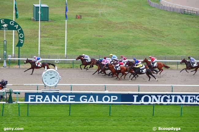 10/11/2020 - Chantilly - Prix du Carré de Dressage : Arrivée