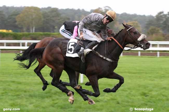 15/11/2022 - Fontainebleau - Prix du Débucher : Arrivée