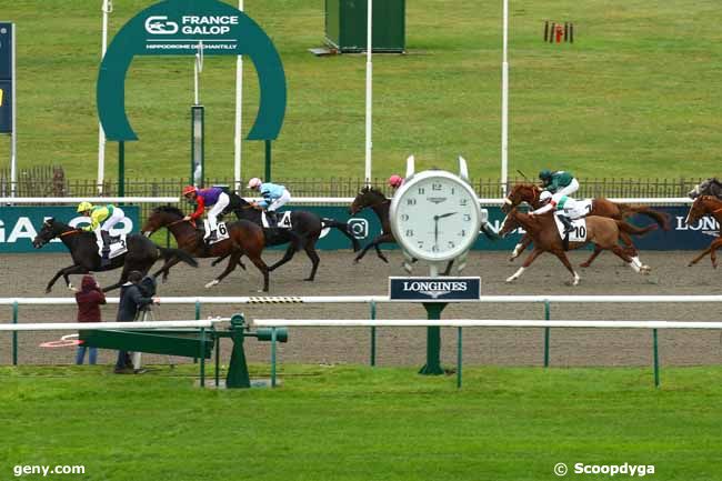 14/11/2023 - Chantilly - Prix du Bois de la Tuilerie : Arrivée