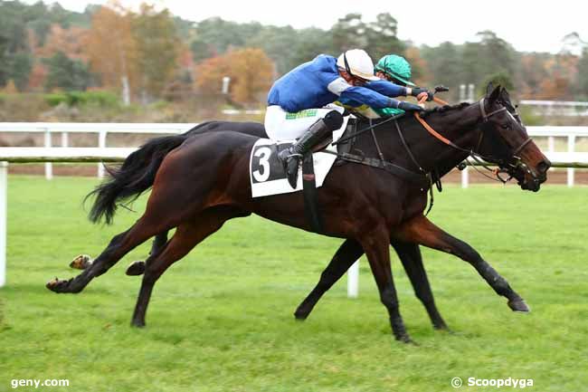 15/11/2023 - Fontainebleau - Prix du Carrefour du Nid de l'Aigle : Result