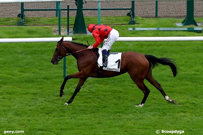 12/10/2024 - Chantilly - Prix du Temple de Vénus : Arrivée