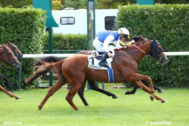 01/09/2025 - Chantilly - Prix de Montpensier : Arrivée