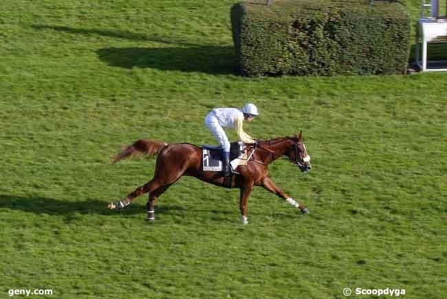 02/10/2008 - Auteuil - Prix de Bagatelle : Result