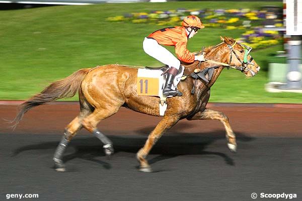 28/10/2008 - Vincennes - Prix Euterpe : Arrivée