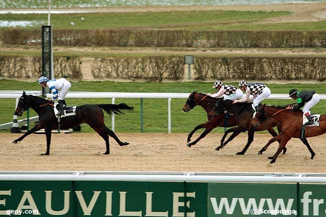 11/01/2011 - Deauville - Prix de la Tête au Loup : Ankunft