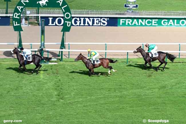 23/09/2013 - Chantilly - Prix de la Butte Blanche : Ankunft