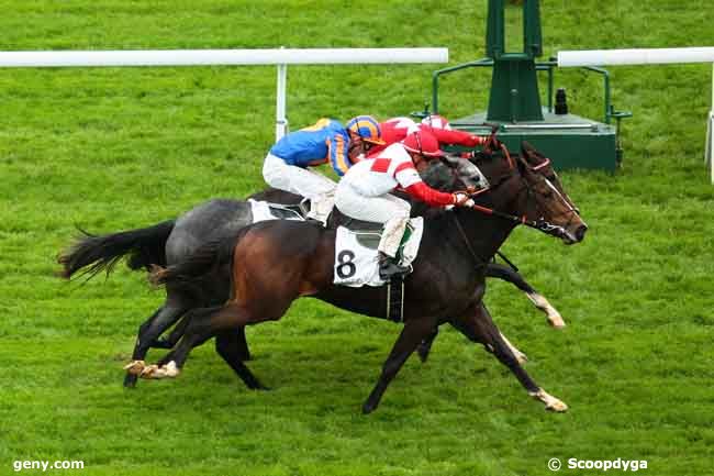 01/11/2013 - Saint-Cloud - Prix Douve : Arrivée